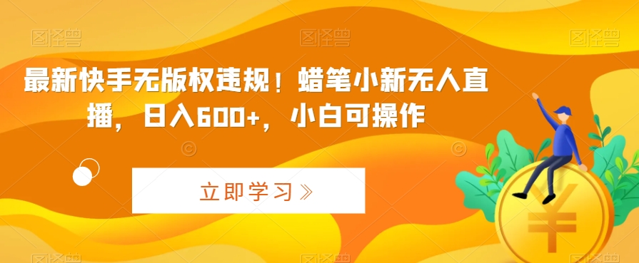 最新快手无版权违规！蜡笔小新无人直播，日入600+，小白可操作【揭秘】-秀人资源网