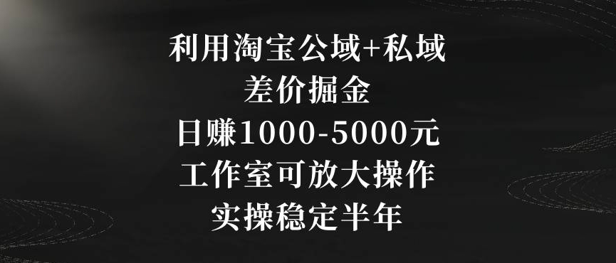 利用淘宝公域+私域差价掘金，日赚1000-5000元，工作室可放大操作，实操稳定半年【揭秘】-秀人资源网