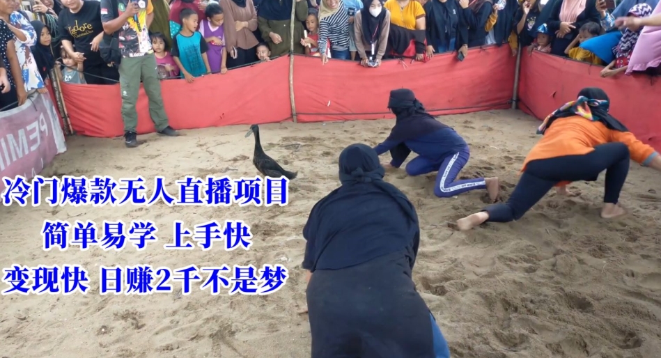 冷门爆款无人直播项目，简单易学上手快，变现快日赚2千不是梦【揭秘】-整合资源网