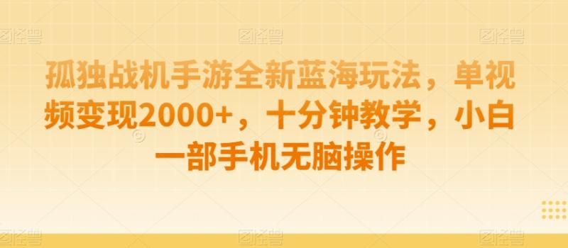 孤独战机手游全新蓝海玩法，单视频变现2000+，十分钟教学，小白一部手机无脑操作【揭秘】-整合资源网