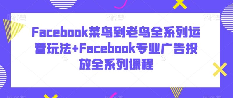 Facebook菜鸟到老鸟全系列运营玩法+Facebook专业广告投放全系列课程-秀人资源网