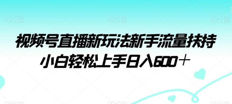 视频号直播新玩法新手流量扶持小白轻松上手日入600＋【揭秘】-整合资源网