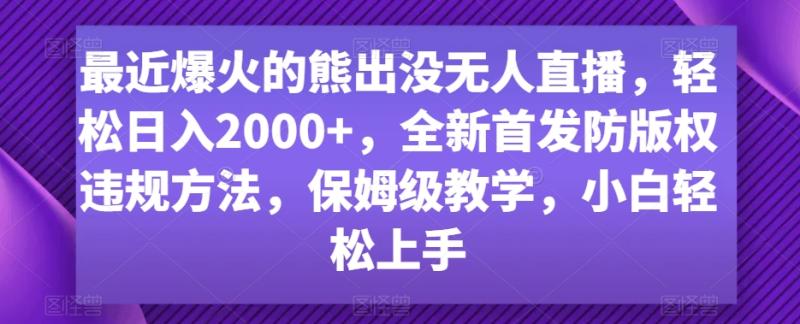 最近爆火的熊出没无人直播，轻松日入2000+，全新首发防版权违规方法【揭秘】-整合资源网