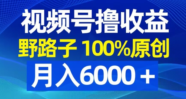 视频号野路子撸收益，100%原创，条条爆款，月入6000＋【揭秘】-秀人资源网