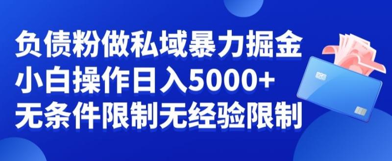 负债粉私域暴力掘金，小白操作入5000，无经验限制，无条件限制【揭秘】-秀人资源网