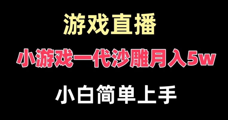 玩小游戏一代沙雕月入5w，爆裂变现，快速拿结果，高级保姆式教学【揭秘】-秀人资源网