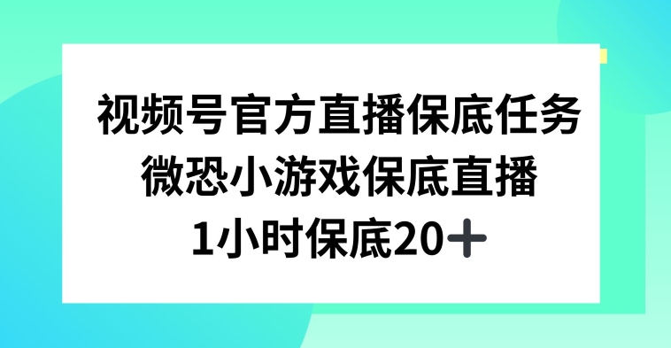 视频号直播任务，微恐小游戏，1小时20+【揭秘】-秀人资源网
