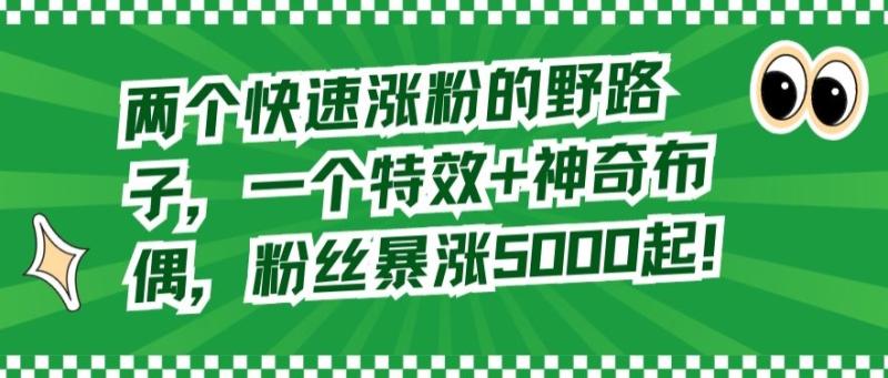 两个快速涨粉的野路子，一个特效+神奇布偶，粉丝暴涨5000起【揭秘】-秀人资源网