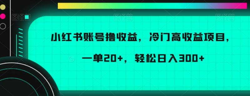 小红书账号撸收益，冷门高收益项目，一单20+，轻松日入300+【揭秘】-秀人资源网