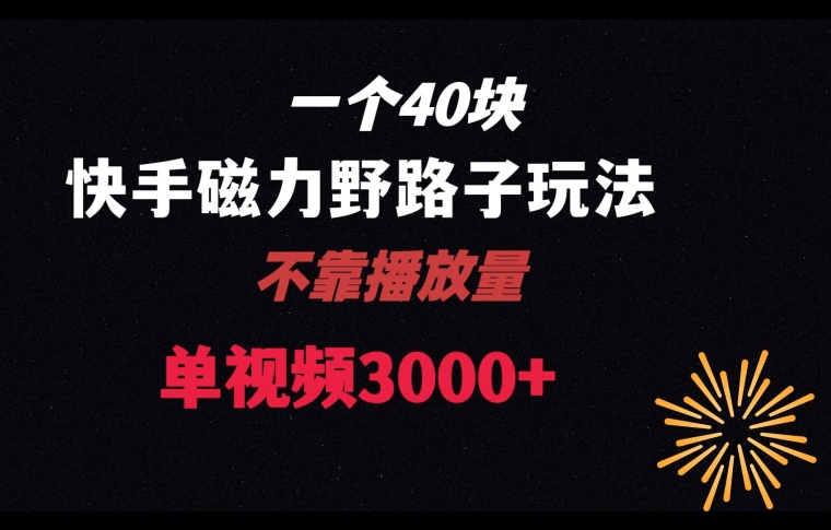 一个40块，快手联合美团磁力新玩法，无视机制野路子玩法，单视频收益4位数【揭秘】-秀人资源网