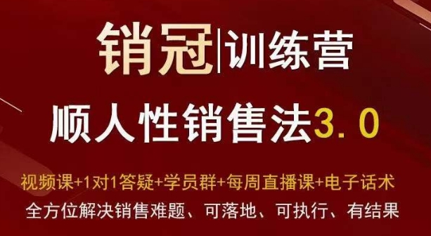 爆款！销冠训练营3.0之顺人性销售法，全方位解决销售难题、可落地、可执行、有结果-秀人资源网