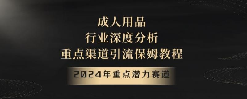 2024年重点潜力赛道，成人用品行业深度分析，重点渠道引流保姆教程【揭秘】-秀人资源网