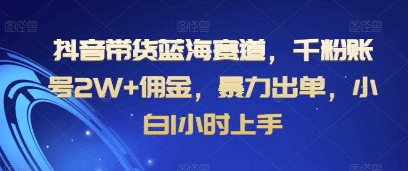 抖音带货蓝海赛道，千粉账号2W+佣金，暴力出单，小白1小时上手【揭秘】-整合资源网