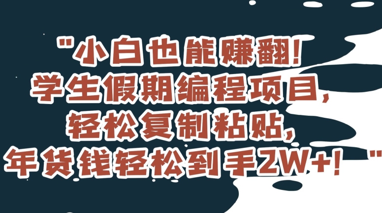 小白也能赚翻！学生假期编程项目，轻松复制粘贴，年货钱轻松到手2W+【揭秘】-秀人资源网