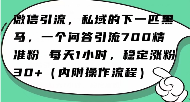 怎么搞精准创业粉？微信新赛道，每天一小时，利用Ai一个问答日引100精准粉-秀人资源网
