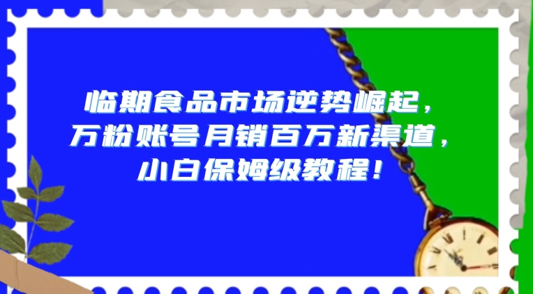 临期食品市场逆势崛起，万粉账号月销百万新渠道，小白保姆级教程【揭秘】-整合资源网