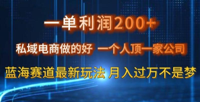 一单利润200私域电商做的好，一个人顶一家公司蓝海赛道最新玩法【揭秘】-秀人资源网