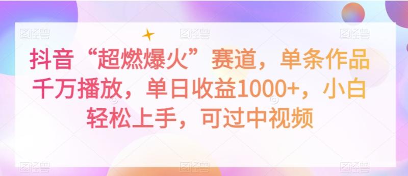 抖音“超燃爆火”赛道，单条作品千万播放，单日收益1000+，小白轻松上手，可过中视频【揭秘】-整合资源网