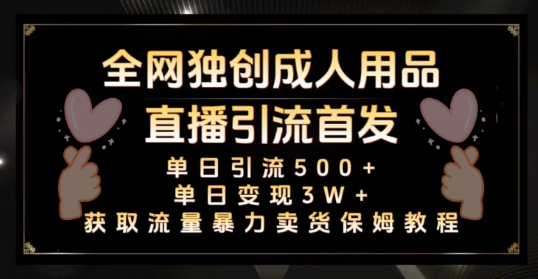 全网独创真人主播+无人直播单日引流500+，橙人用品暴力卖货单日变现3W+保姆似教学2.0【揭秘】-整合资源网