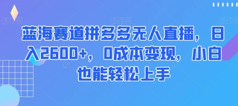 蓝海赛道拼多多无人直播，日入2600+，0成本变现，小白也能轻松上手【揭秘】-秀人资源网