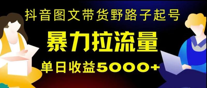 抖音图文带货暴力起号，单日收益5000+，野路子玩法，简单易上手，一部手机即可【揭秘】-整合资源网