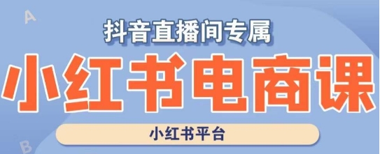 小红书电商高级运营课程，实操教学+案例分析-整合资源网