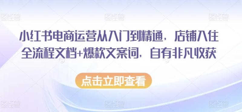 小红书电商运营从入门到精通，店铺入住全流程文档+爆款文案词，自有非凡收获-秀人资源网