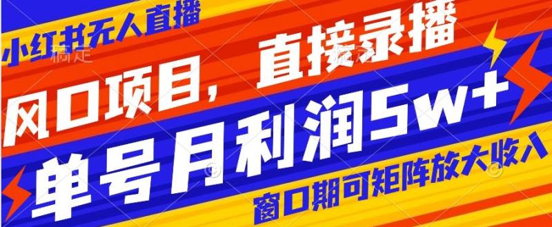 风口项目，小红书无人直播带货，直接录播，可矩阵，月入5w+【揭秘】-秀人资源网