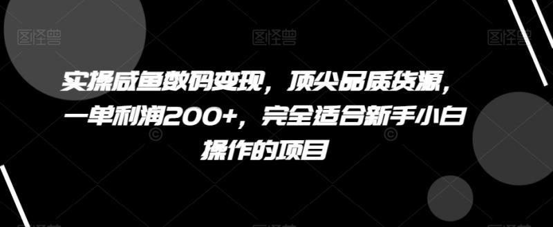 实操咸鱼数码变现，顶尖品质货源，一单利润200+，完全适合新手小白操作的项目【揭秘】-秀人资源网
