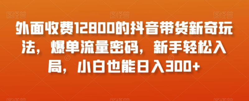 外面收费12800的抖音带货新奇玩法，爆单流量密码，新手轻松入局，小白也能日入300+【揭秘】-整合资源网