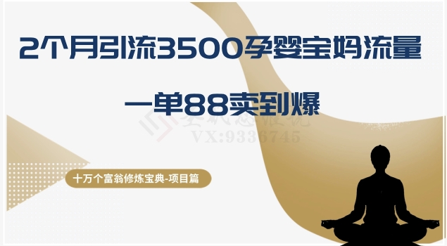 十万个富翁修炼宝典之13.2个月引流3500孕婴宝妈流量，一单88卖到爆-秀人资源网