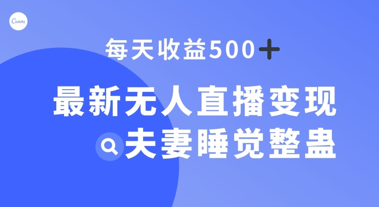 最新无人直播变现，夫妻睡觉整蛊，每天躺赚500+【揭秘】-秀人资源网