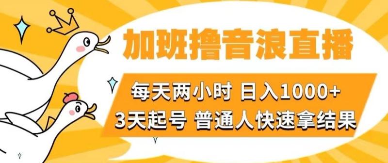 加班撸音浪直播，每天两小时，日入1000+，直播话术才3句，3天起号，普通人快速拿结果【揭秘】-秀人资源网