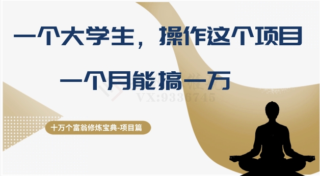 十万个富翁修炼宝典之4.一个大学生操作这个项目，一个月能搞一万-秀人资源网