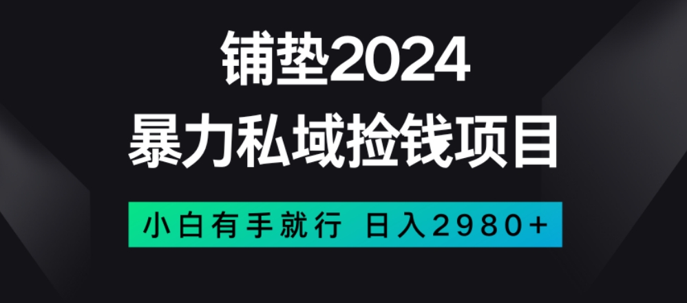 暴力私域捡钱项目，小白无脑操作，日入2980【揭秘】-整合资源网