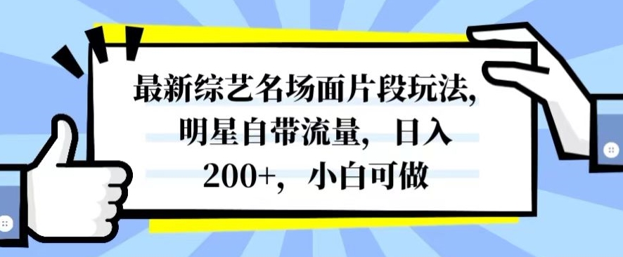 最新综艺名场面片段玩法，明星自带流量，日入200+，小白可做【揭秘】-秀人资源网