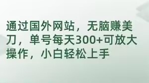 通过国外网站，无脑赚美刀，单号每天300+可放大操作，小白轻松上手【揭秘】-秀人资源网