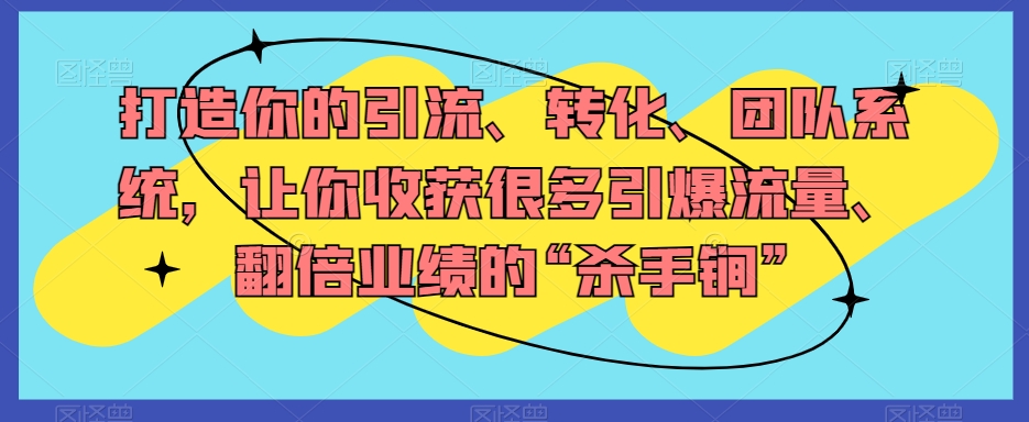 打造你的引流、转化、团队系统，让你收获很多引爆流量、翻倍业绩的“杀手锏”-整合资源网