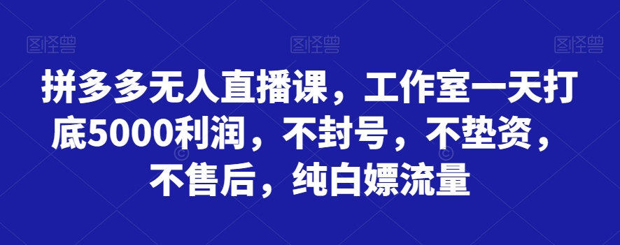 拼多多无人直播课，工作室一天打底5000利润，不封号，不垫资，不售后，纯白嫖流量-秀人资源网