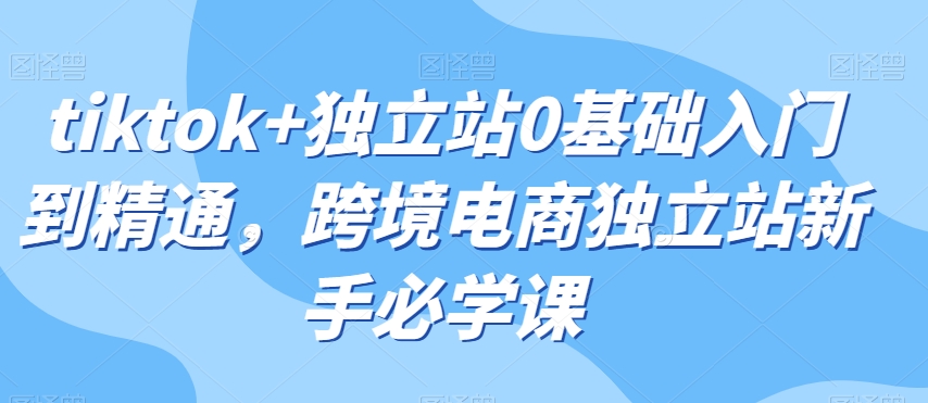 tiktok+独立站0基础入门到精通，跨境电商独立站新手必学课-整合资源网
