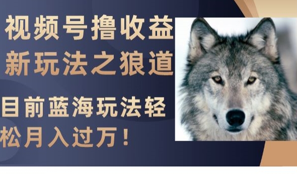 视频号撸收益新玩法之狼道，目前蓝海玩法，轻松月入过万【揭秘】-秀人资源网