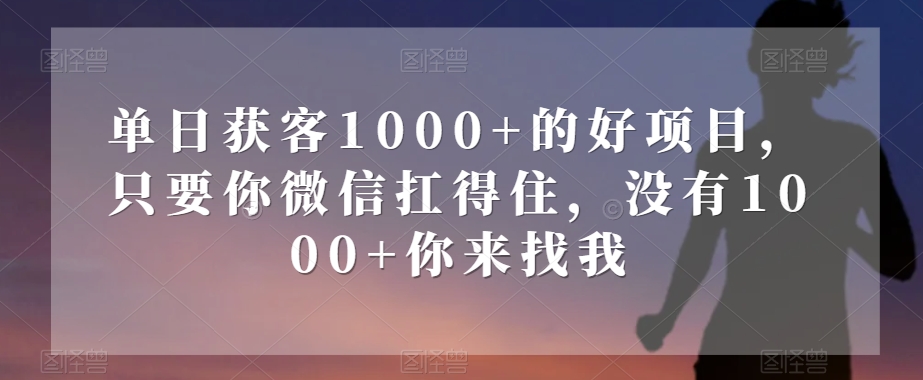 单日获客1000+的好项目，只要你微信扛得住，没有1000+你来找我【揭秘】-秀人资源网