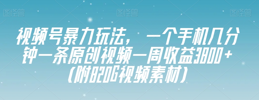 视频号暴力玩法，一个手机几分钟一条原创视频一周收益3800+（附820G视频素材）-整合资源网