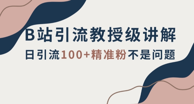B站引流教授级讲解，细节满满，日引流100+精准粉不是问题【揭秘】-整合资源网