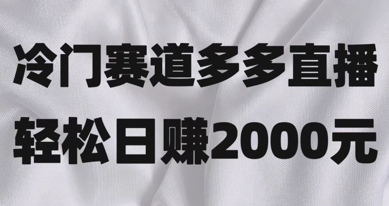 冷门赛道拼多多直播，简单念稿子，日收益2000＋【揭秘】-整合资源网
