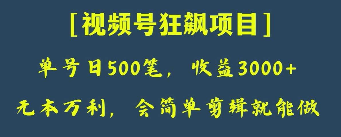 日收款500笔，纯利润3000+，视频号狂飙项目，会简单剪辑就能做【揭秘】-秀人资源网