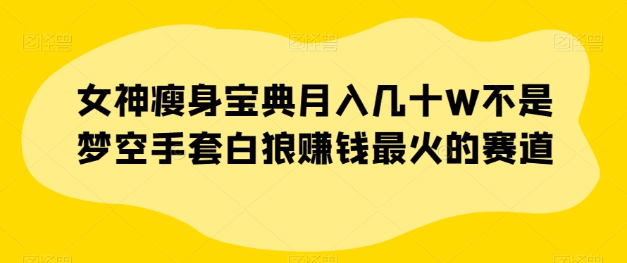 女神瘦身宝典月入几十W不是梦空手套白狼赚钱最火的赛道【揭秘】-秀人资源网
