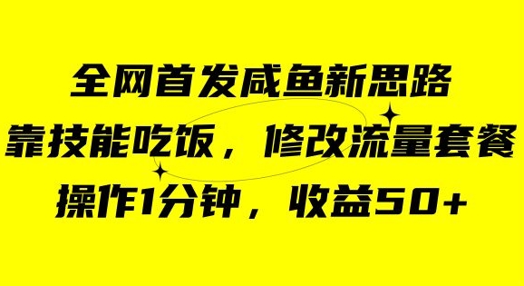 咸鱼冷门新玩法，靠“技能吃饭”，修改流量套餐，操作1分钟，收益50【揭秘】-整合资源网