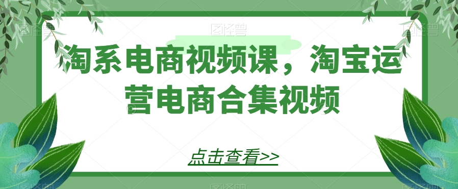 淘系电商视频课，淘宝运营电商合集视频-秀人资源网