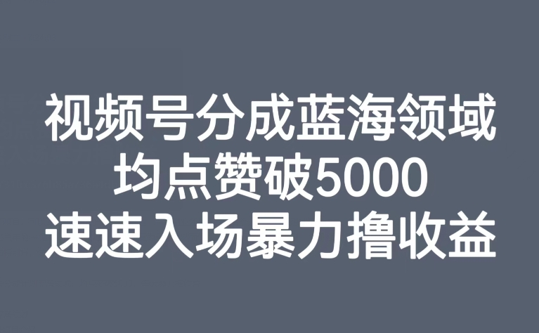 视频号分成蓝海领域，均点赞破5000，速速入场暴力撸收益-整合资源网